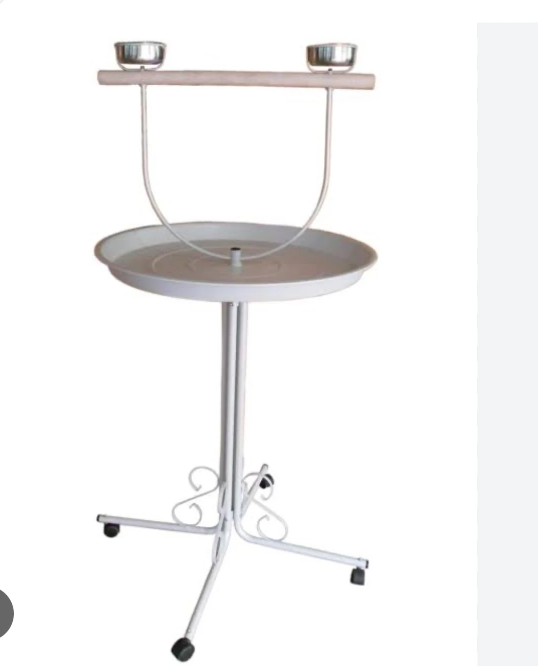Parrot stand