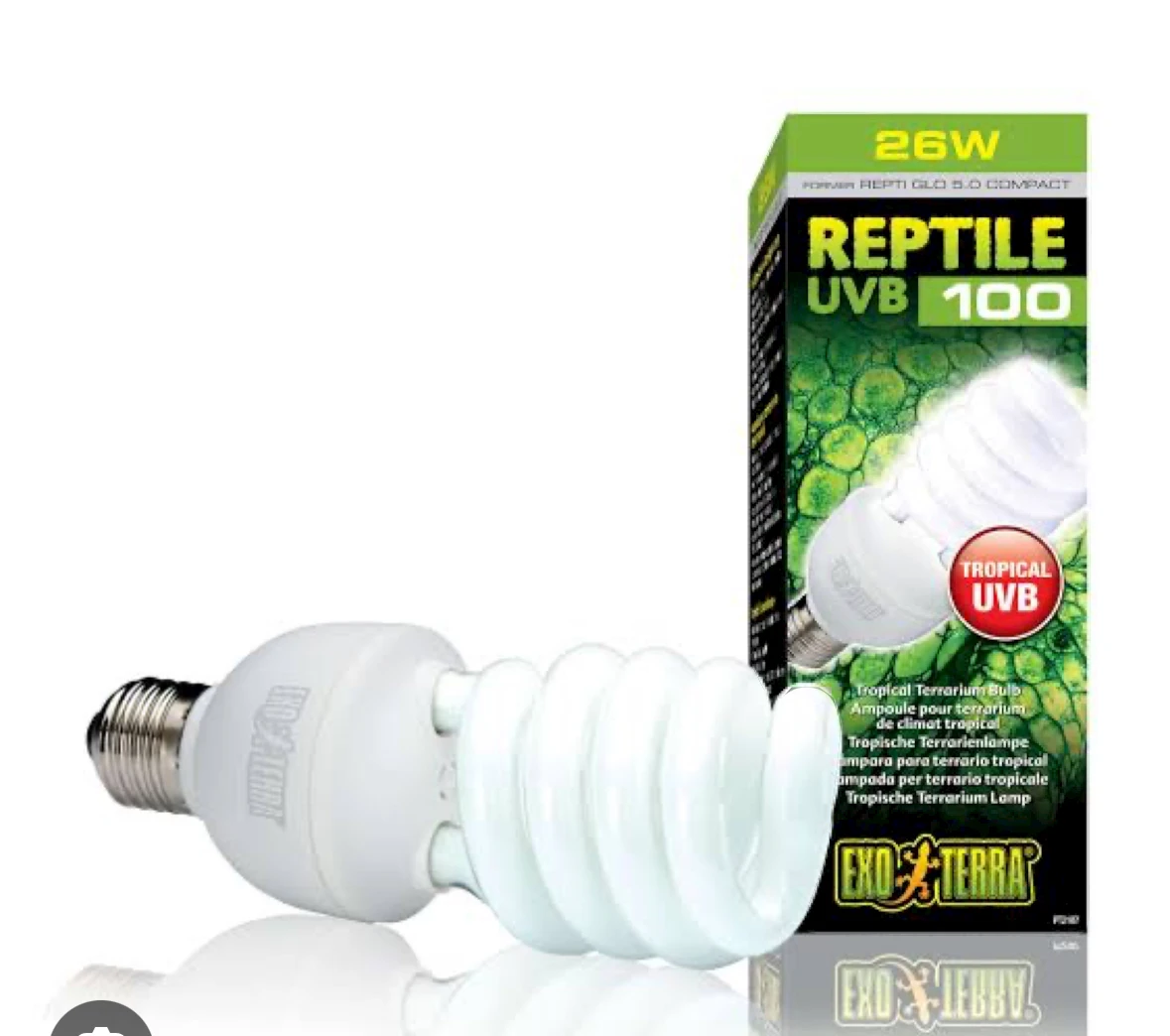 Need reptile uvb lighting