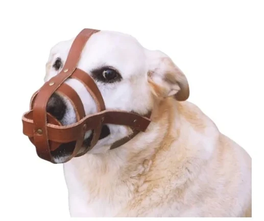 Leather Dog Muzzle For Large Dogs