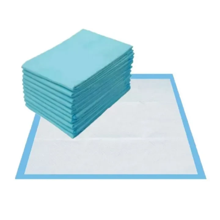 Pet Essentials Training Pads Dignity Sheet for puppy