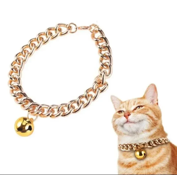 Cat Chain Collar With Bell for sale