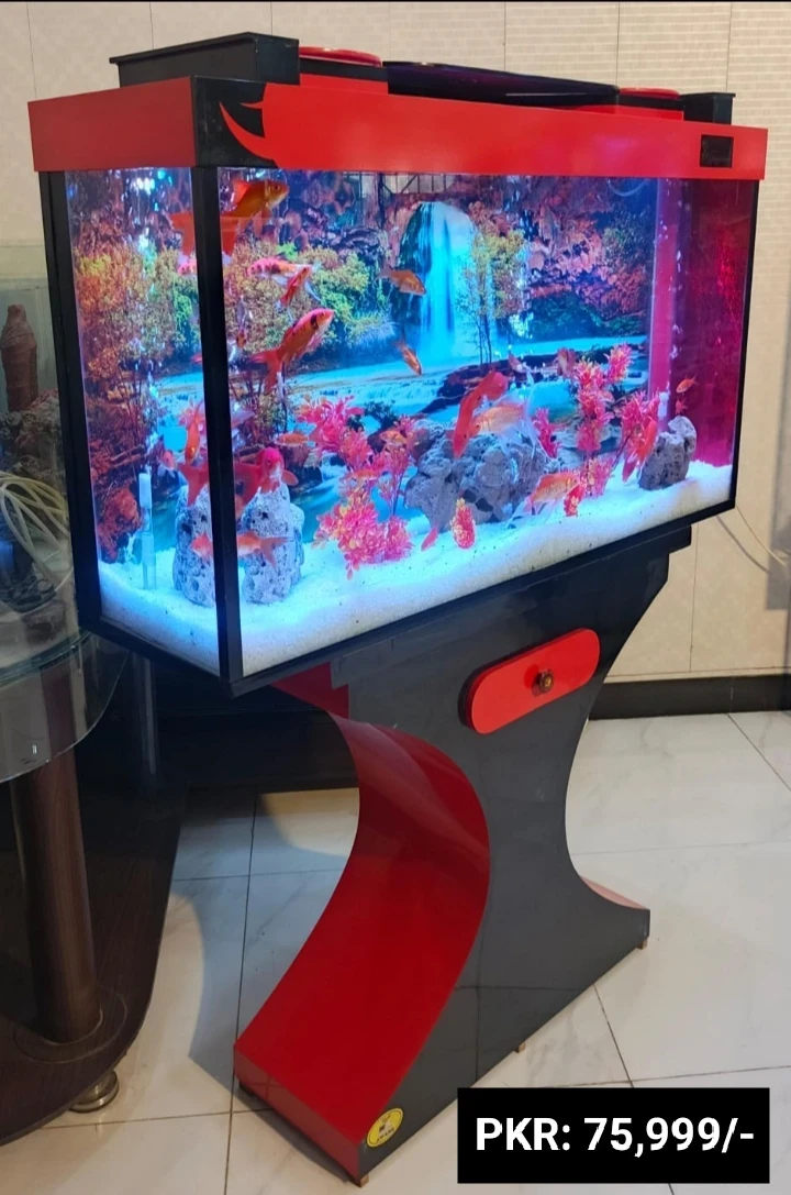 Red and black butterfly aquarium